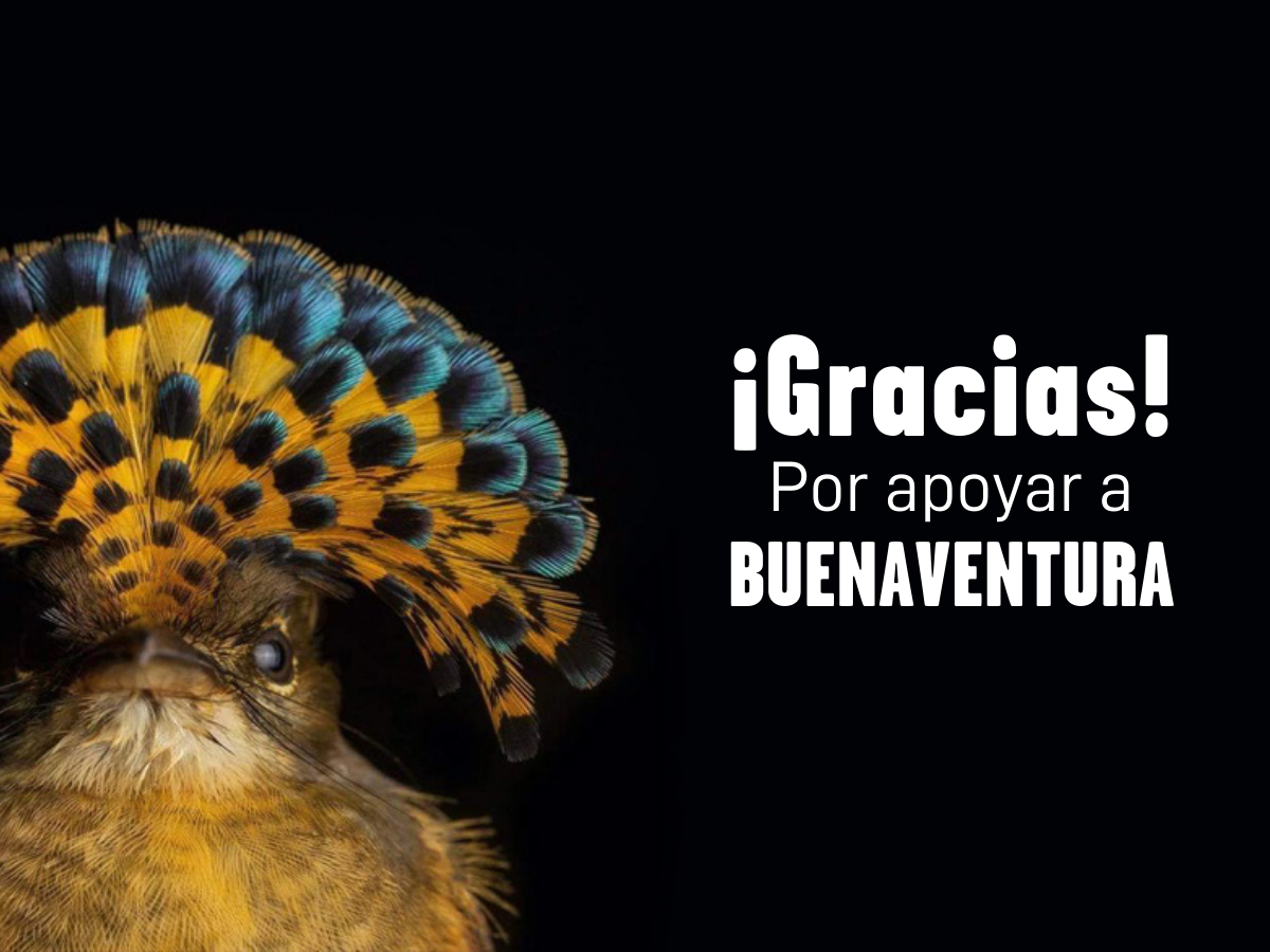 Gracias por apoyarnos en nuestra reciente campaña de recaudación de fondos para Buenaventura